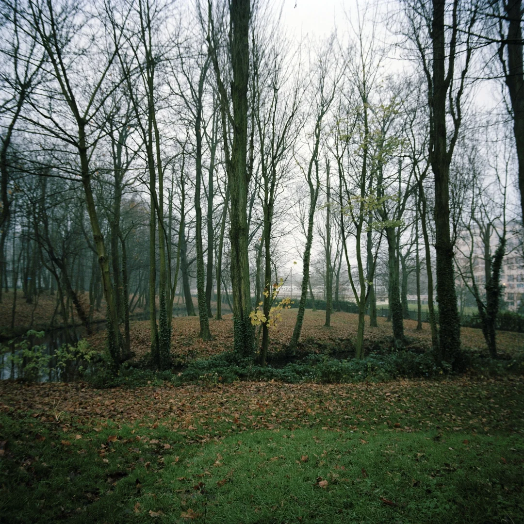 folds_01.jpg