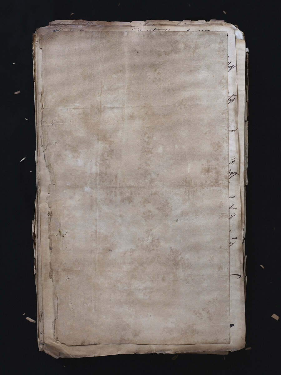 Blank Pages (Naturalisation Pages)